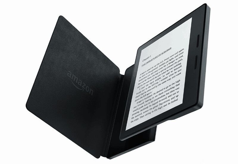 Best  Kindle Paperwhite cases in 2024